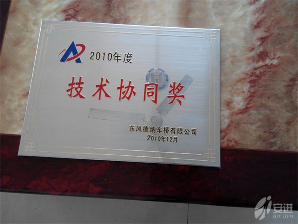 德納2010技術協(xié)同獎